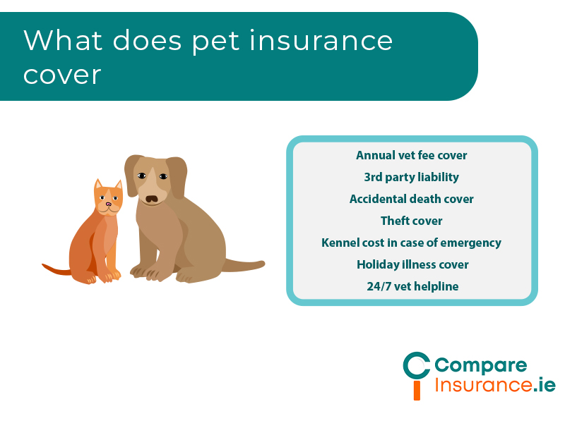 what does pet insurance cover