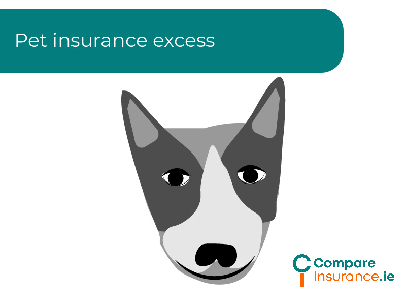 pet insurance excess