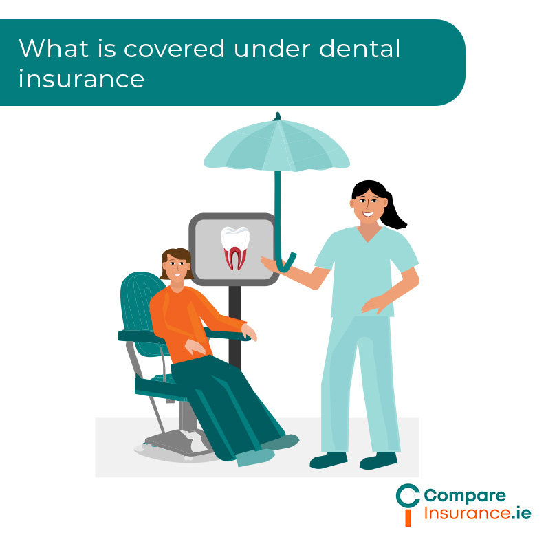 What is covered under dental cover