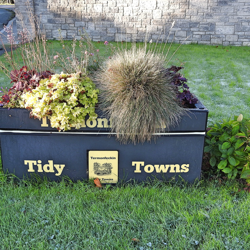 Tidy Town Group